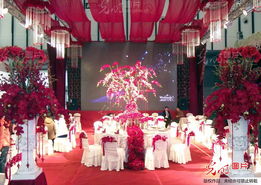 南京冬季婚庆采购订单潮涌来，结婚服务市场呈专业化和高质量新动能观